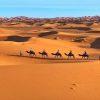 Camel Trekking 2 Nights in Erg Chebbi Merzouga