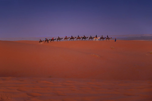 3 Days tour from Marrakech to Fes via Desert