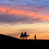 Sunrise Camel Tour in Erg Chebbi Merzouga